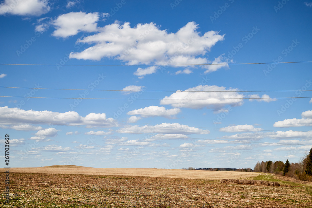 Spring landscape with white clouds on blue sky over yellow field with grass and forest in background