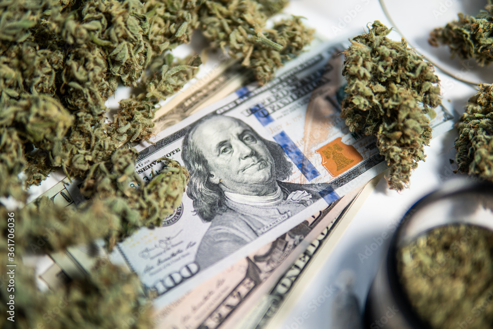 Money weed. Cannabis money black market. The pot buds. White background. Cannabis in Economics . foto de Stock | Adobe Stock