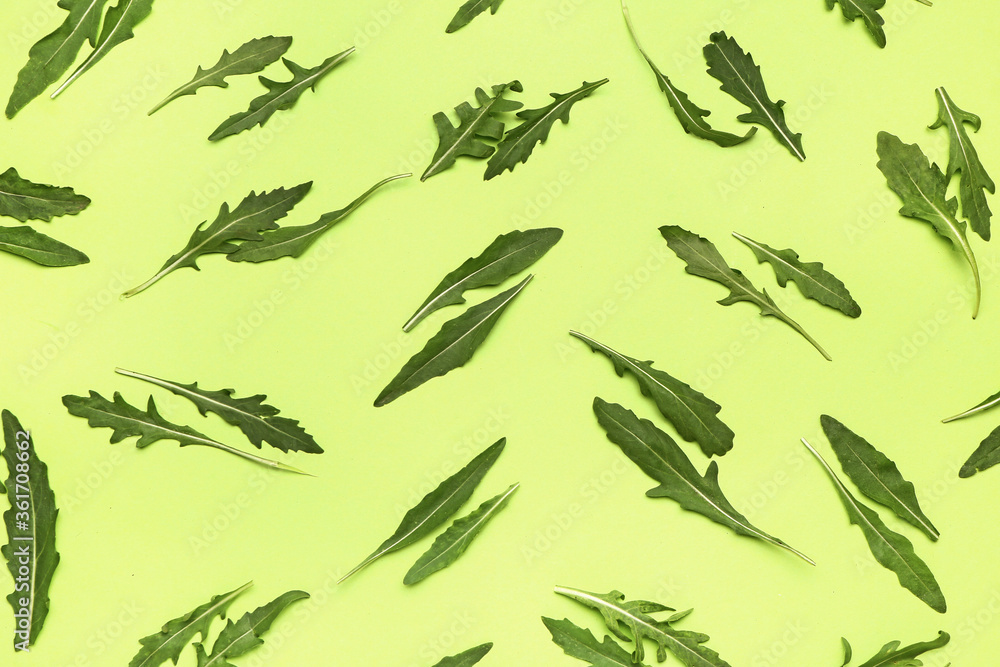 Fresh arugula on color background Fresh arugula on color background