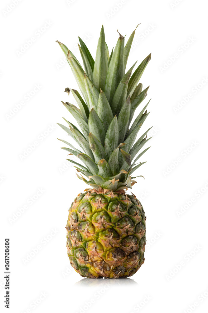 Pineapple Isolated on White Background Pineapple Isolated on White Background