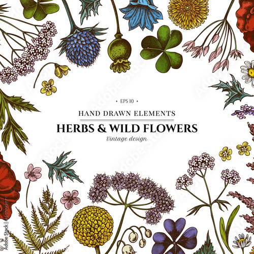 Floral design with colored shepherd's purse, heather, fern, wild garlic, clover, globethistle, gentiana, astilbe, craspedia, lagurus, black caraway, chamomile, dandelion, poppy flower, lily of the