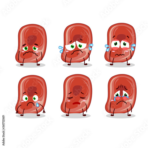 Ham cartoon in character with sad expression