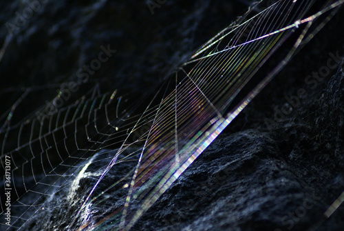 Magic reflection o a spiderweb