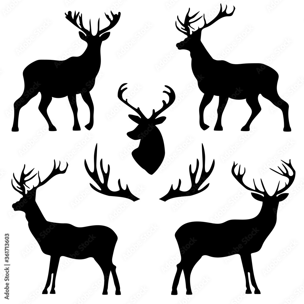 Fototapeta premium background with patterns of deer and horns