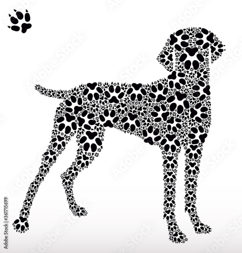 Silhouette of a dog made of dog tracks