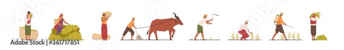 Set of Indian farmers in traditional clothes vector flat illustration. Collection of rural man and woman plowing field by cow, collect, carry, watering and mowing harvest. Agricultural workers