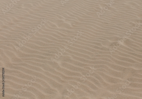Sand beach. Fine sand texture with waves. Background for inscription.