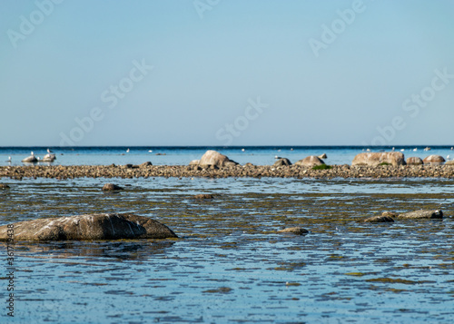 beautiful Baltic Sea coast with boulders, Saaremaa Island, Estonia © ANDA