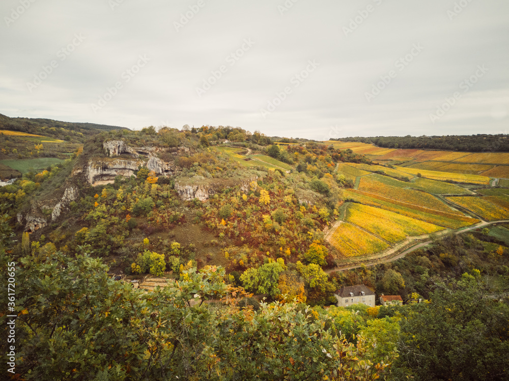 un paysage de vigne automnale. Les vignes de Côte-d'Or en automne. Un vignoble de Bourgogne automnal. Des vignes dorées et jaunes en automne 