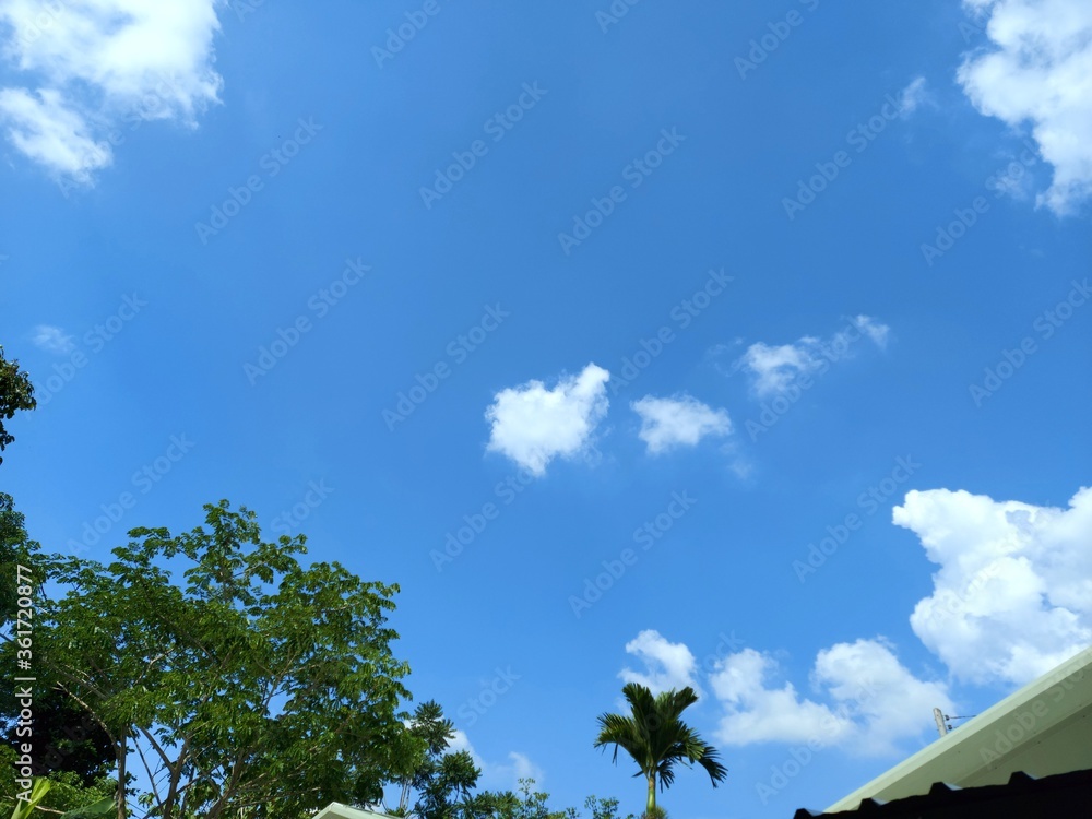 Obraz premium White clouds, indigo blue, colorful, natural background.