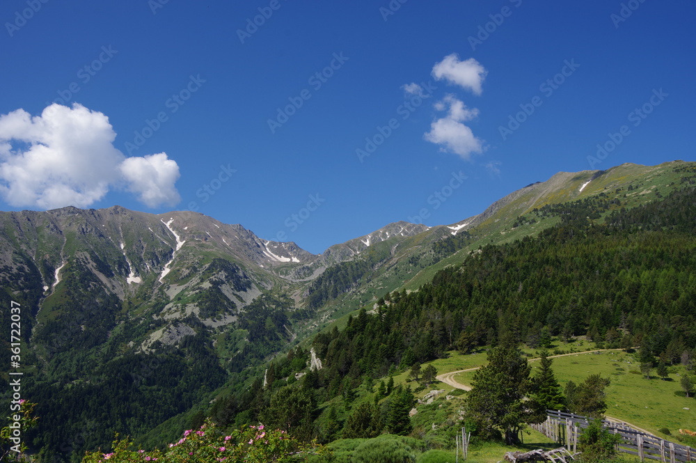 Paysage de pâturage panorama de montagne des Pyrénées avec Canigou et un peu de neige