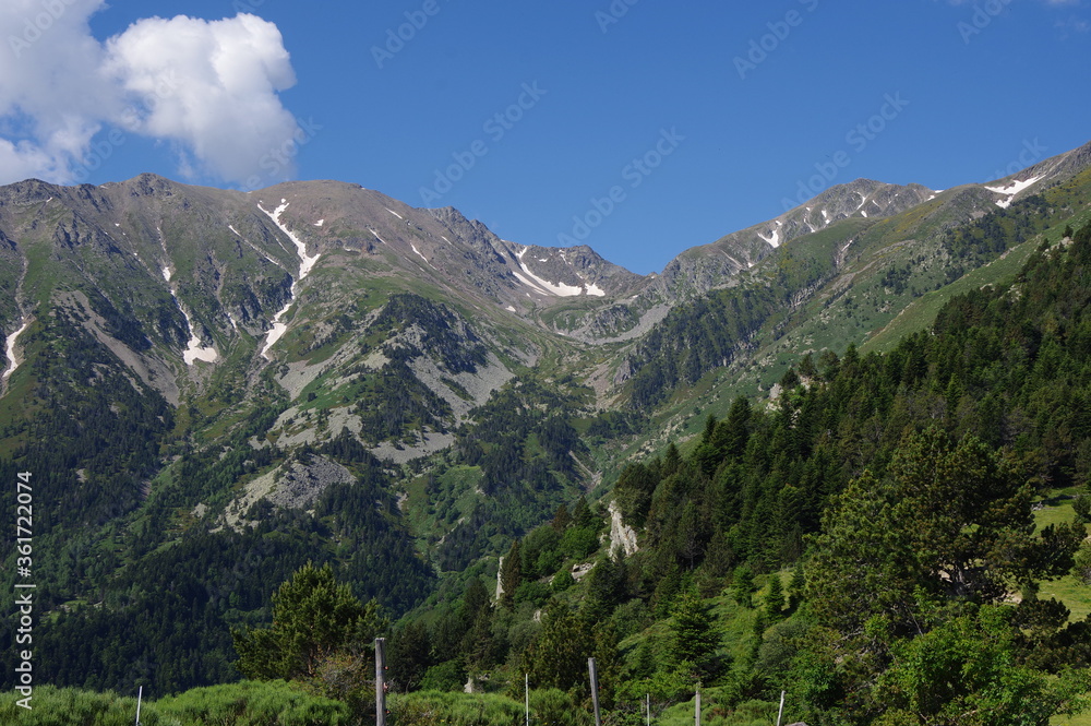 Fototapeta premium Paysage de pâturage panorama de montagne des Pyrénées avec Canigou et un peu de neige
