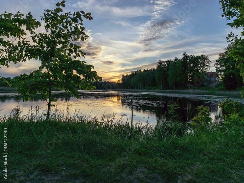 image with a beautiful colorful sunset over the lake, in the foreground the contours of trees and grass, Lielais Ansis, Rubene, Latvia photo