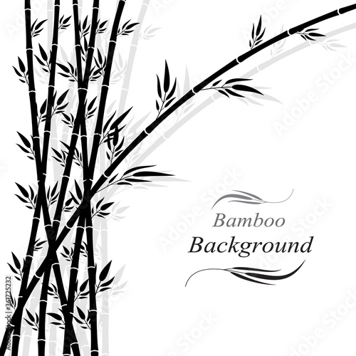Fototapeta Naklejka Na Ścianę i Meble -   Bamboo forest grass silhouette on white background art design.

 