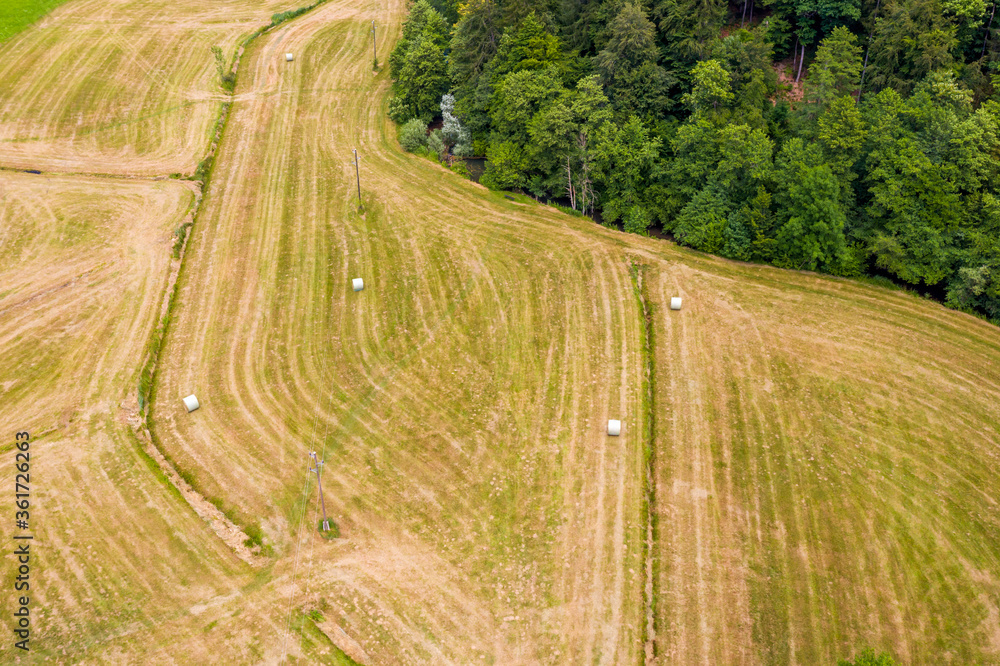 Farmer harvesting hay on the grass field with green forest around, aerial view