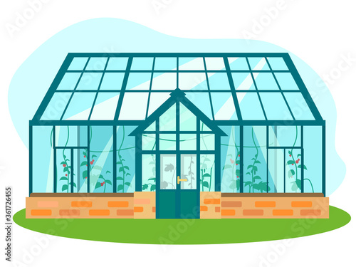 Vector illustration of greenhouse with different plants inside in flat style. Glass house with tomatoes and cucumber plants.