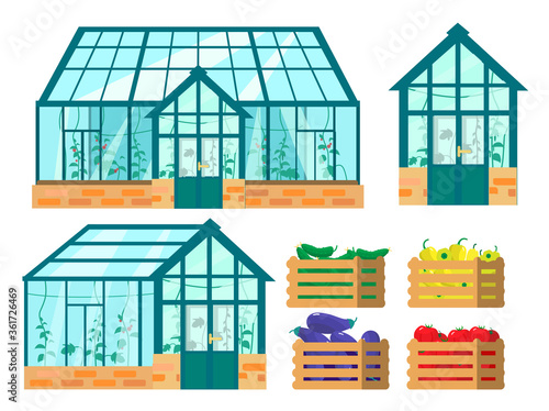 Vector set of greenhouses and wooden boxes with vegetables grown in there.