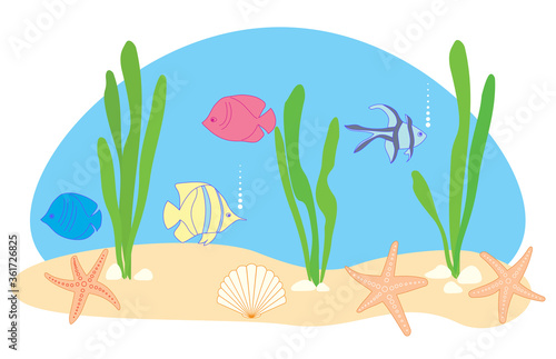 fish and sea stars - vector illustration of sea or aquarium