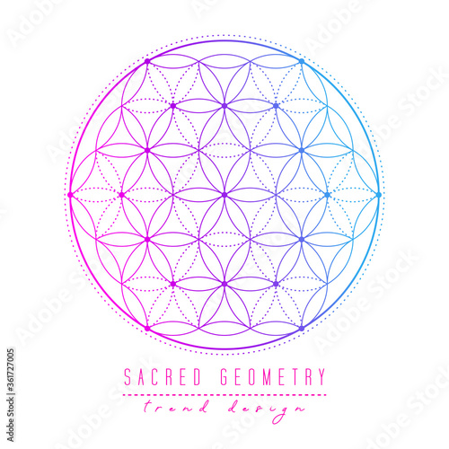 Sacred geometry vector design elements.