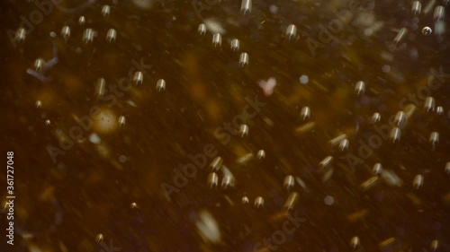 Shooting of fermentation process with bubbles