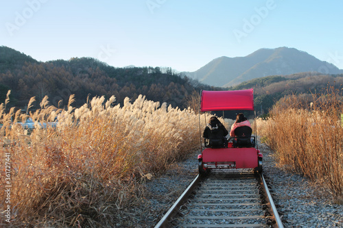 Sunset Rail bike with the pampas grass surrounding in autumn at Gapyeong Rail Park, South Korea