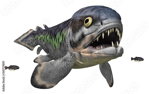 Rhizodus Images – Browse 47 Stock Photos, Vectors, and Video | Adobe Stock