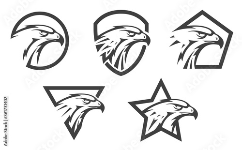 Set of abstract eagle or hawk head isolated on white background. Template for design mascot, label, badge, emblem or other branding. Vector illustration.