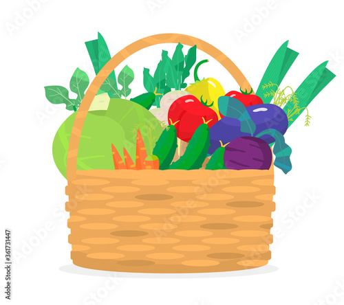 Vector illustration of wicker bascket with different vegetables. Cabbage, carrots, cucumbers, eggplant, radish, tomatoes, potatoes, leek, beet. Harvest illustration