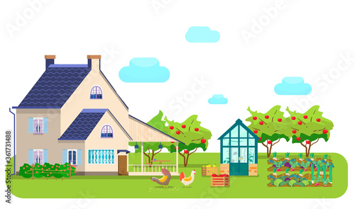 Vector illustration of countryside scene. Country house, greenhouse, chikens pecking grain, wooden boxes with vegetables, vegetable beds, apple orchard.