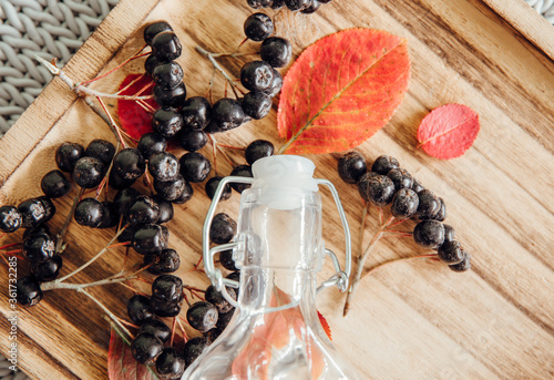 Making Aronia berries (Aronia prunifolia ) also known as chokeberries syrup in autumn. Juice bottle with berries on wooden tray with bright colorful autumn leaves.  photo