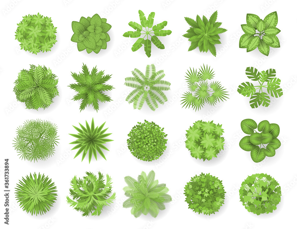 Trees top view. Different plants and trees vector set for architectural or landscape design. (View from above) Nature green spaces.