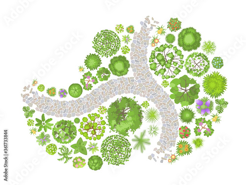 Vector illustration. Landscape design. Top view. Path, trees and flowers. View from above.