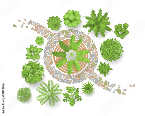 Vector illustration. Landscape design. Top view. Path, trees and plants. View from above.