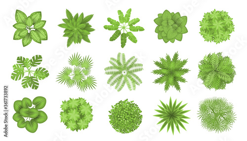 Trees top view. Different plants and trees vector set for architectural or landscape design. (View from above) Nature green spaces.