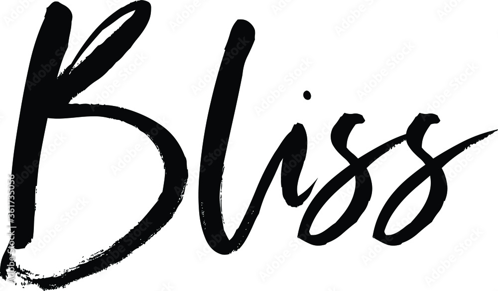 Bliss quote. Modern calligraphy text. Vector hand-drawn illustration black and white Bliss quote. Modern calligraphy text. Vector hand-drawn illustration black and white