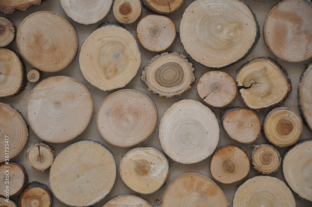 Stack of firewood