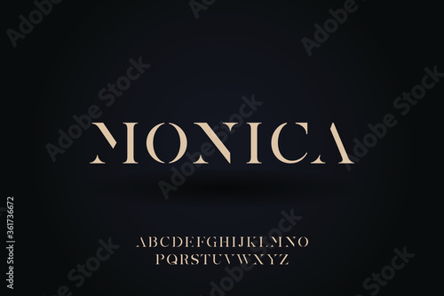 Abstract elegant luxury typeface design vector