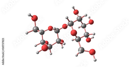 Trehalose molecular structure isolated on white photo