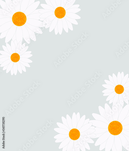 floral, daisy illustraed cover background banner