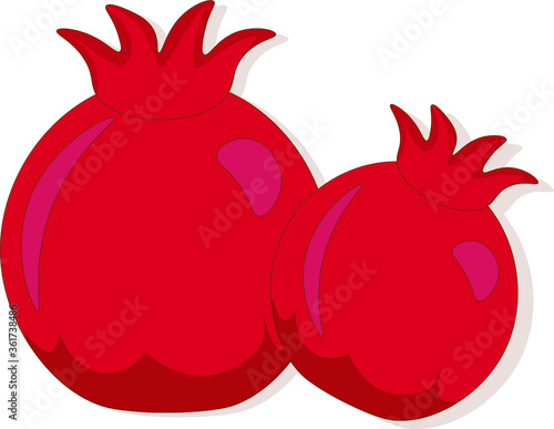 red handdrown pomegranate