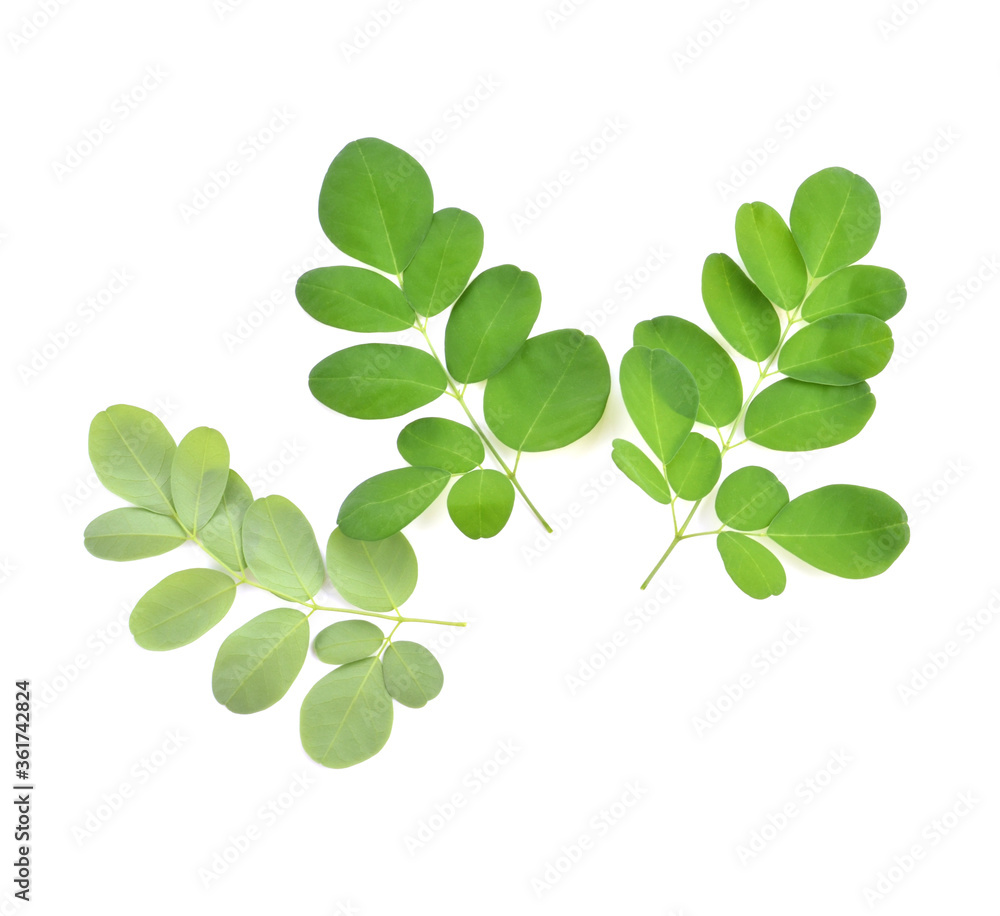 Fototapeta premium Moringa leaves have medicinal properties. top view