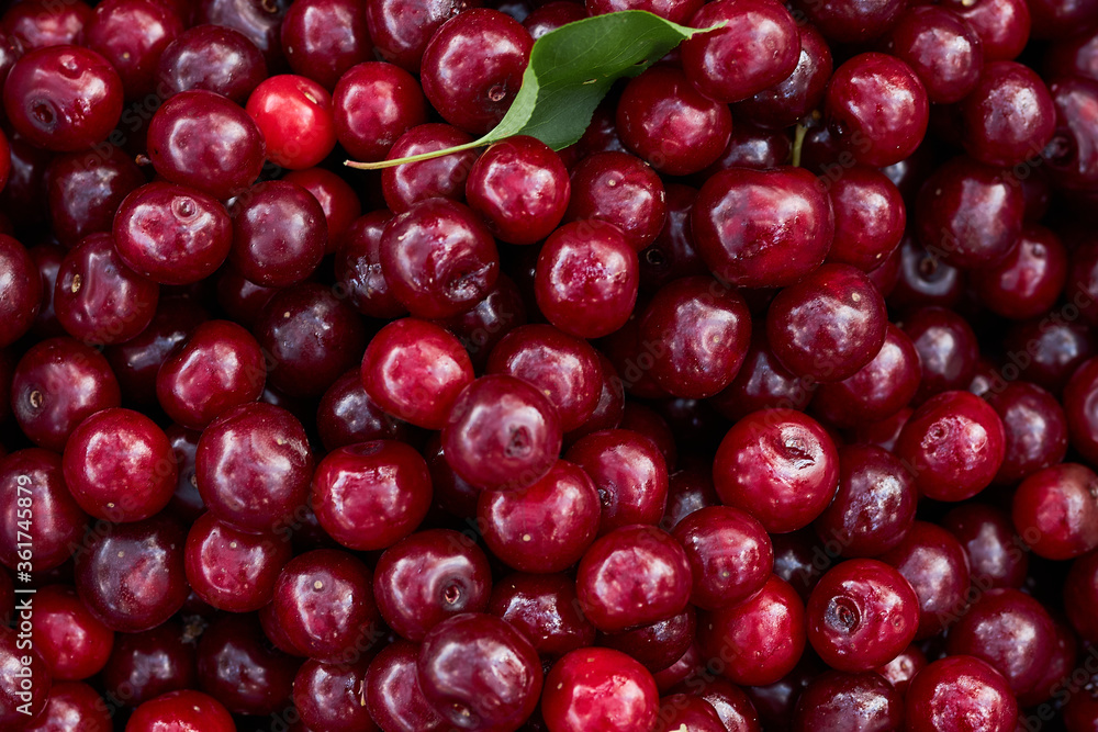 Background from ripe cherries. Harvested ripe cherry. Agriculture. Berries Cherry. Background from ripe cherries. Harvested ripe cherry. Agriculture. Berries Cherry.