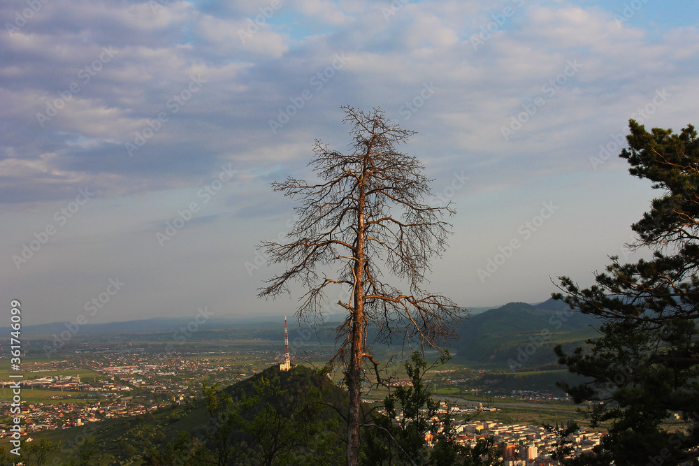 Obraz premium View of Piatra Neamt city, very beautiful and important place of Moldavia in Romania.