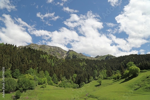 wooden village houses among green trees.artvin savsat turkey