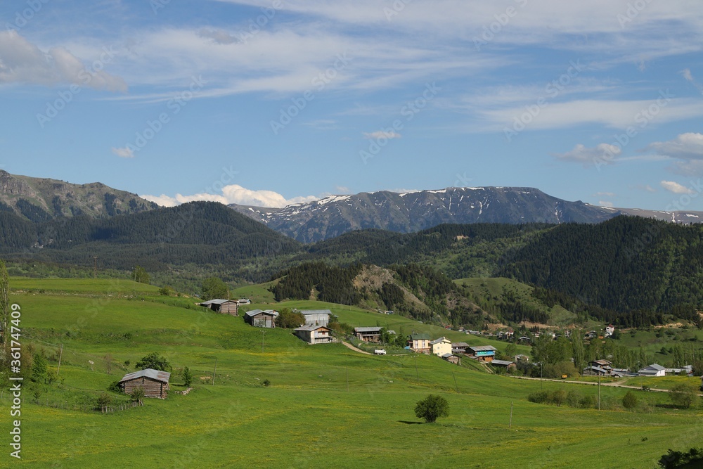 Mountain green hill valley village view. Mountain village landscape. Savsat/Artvin/Turkey