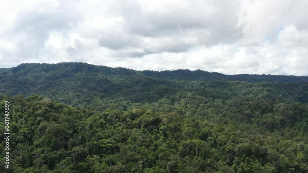 Drone shot flying over a mountainous, hilly area that is covered in many different types of trees in the Amazonian tropical rainforest of Ecuador, South America
Drone shot flying over a mountainous, hilly area that is covered in many different types of trees in the Amazonian tropical rainforest of Ecuador, South America
