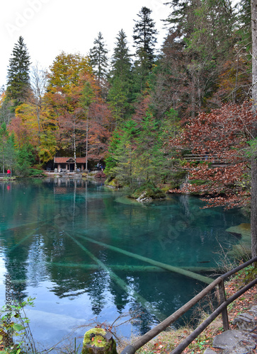 Blausee, Kandergrund, Switzerland - 11.01.2018: Beautiful mountain blue lake in the mountains. Autumn landscape, yellow trees. Crystal clear, transparent water of the blue lake. Mountain landscape.