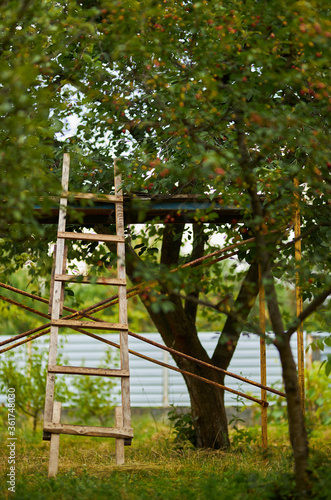 The stepladder is in the garden. Staircase on the street. © Alenka