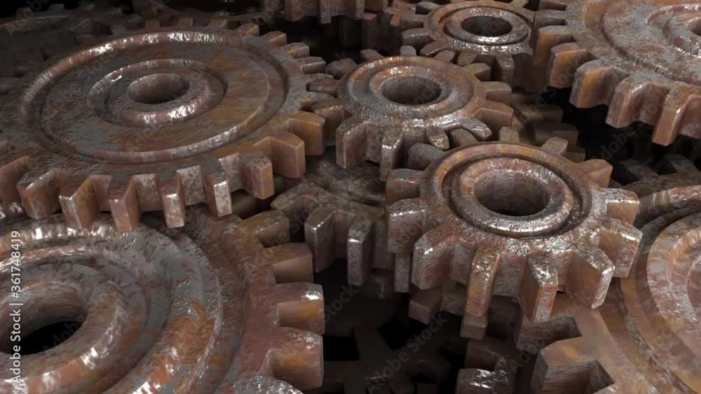 Well-coordinated right woman. Teamwork in women.