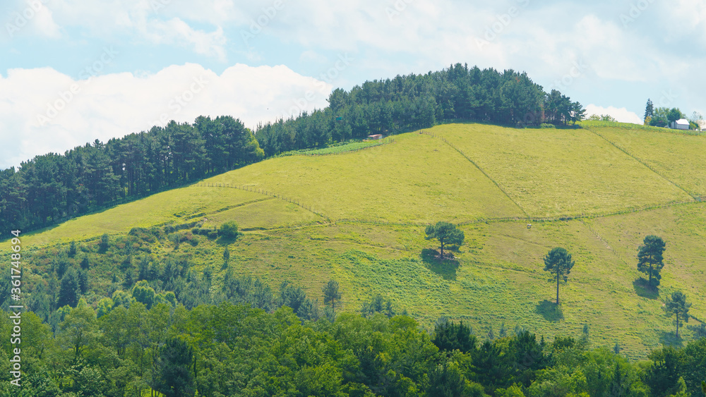 Obraz premium Green landscape in the Basque Country in summer sunny day. Freshness and calmness in the nature. Concepts of the beauty of nature and healthy lifestyles. Ecological trip theme.